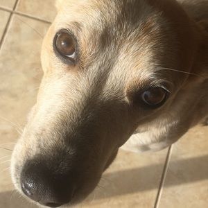 Meet your Posher, Kennedy